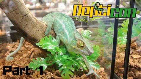 Expos near me - From pet expos to the biggest reptile expos and major pet adoption events to Farm Animal Events, we listed for you. Just click on your state and get details about animal events and shows near you! Montana. New Jersey. New York. Explore captivating Reptile Expo Near Me at our 2024 - 2025 Expo & Events List in the United States.